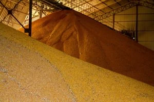 Експорт зерна: Україна коригує прогнози через обстріли