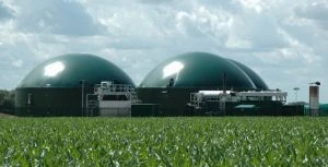 Де в Україні найвищий потенціал для виробництва біогазу?