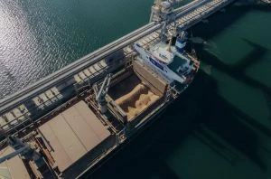 Болгарія під загрозою зриву експорту 5 млн тонн пшениці